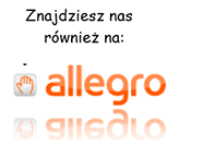 logo_allegro-133